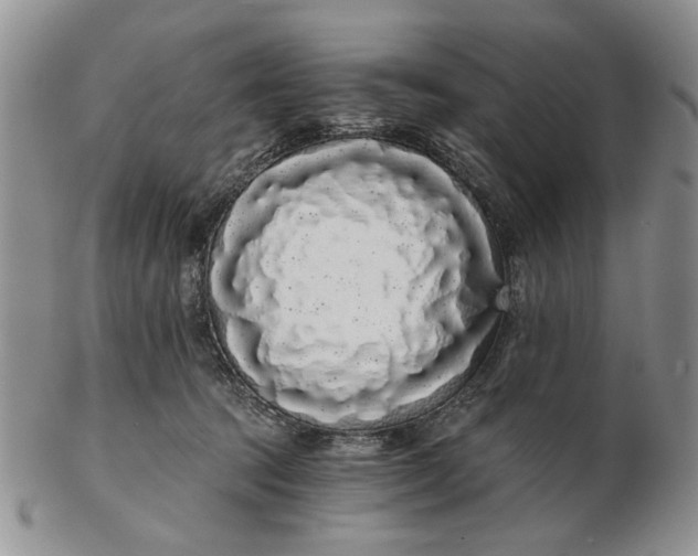 X0000102800369200809021142