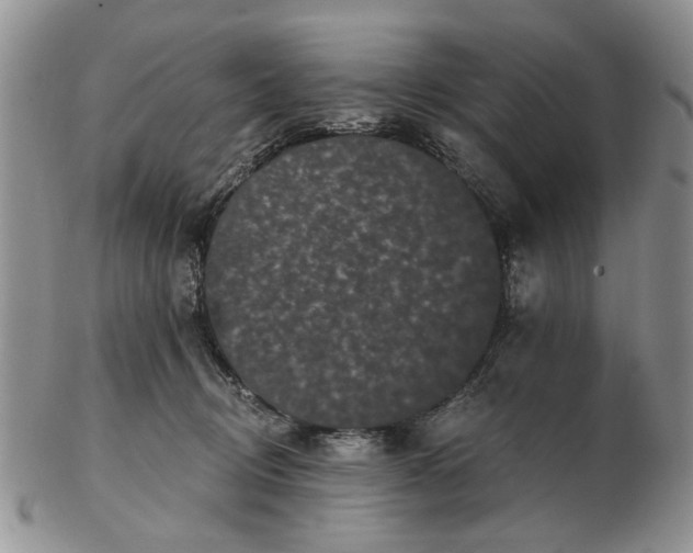 X0000102800370200809021142