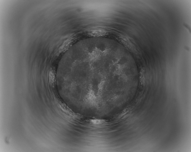 X0000102800371200809021142