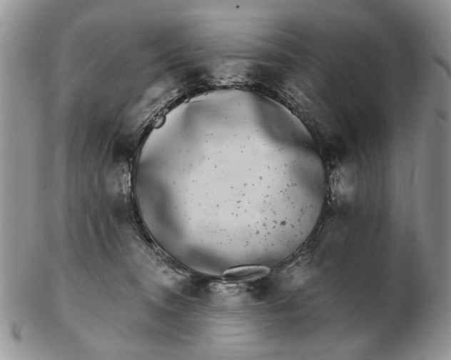 X0000102800372200809021142