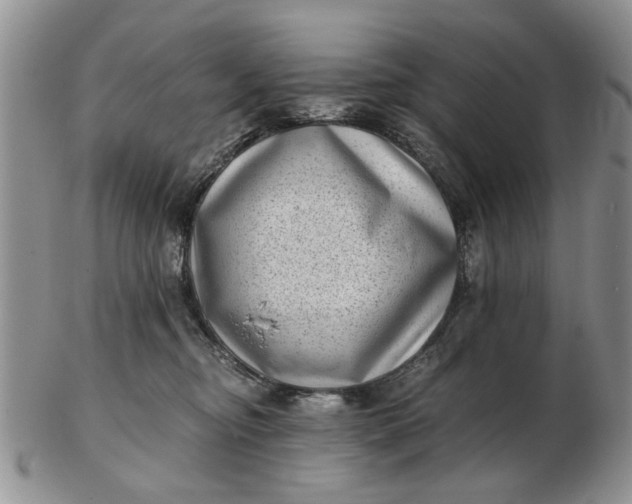 X0000102800374200809021142