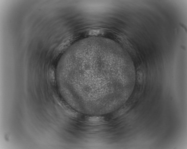 X0000102800375200809021142