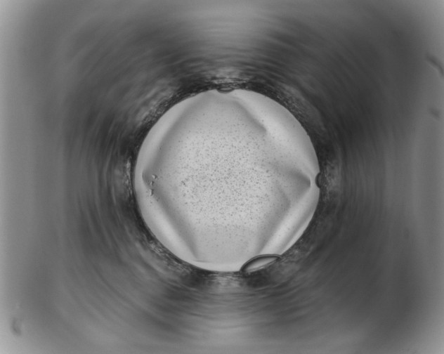 X0000102800376200809021142