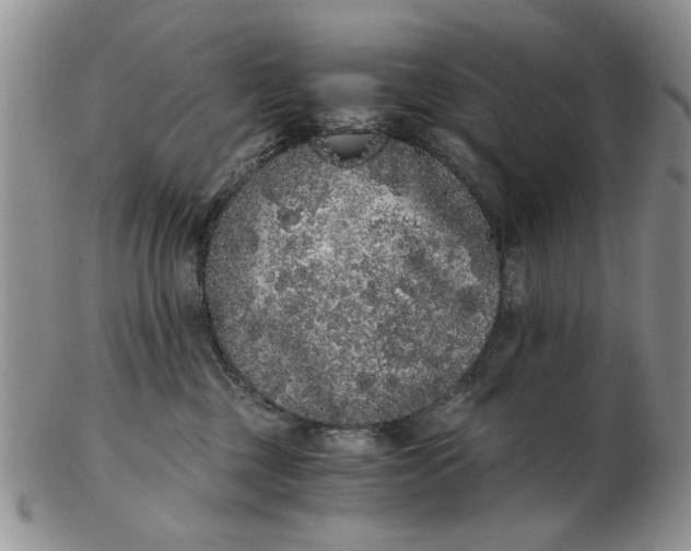 X0000102800377200809021142