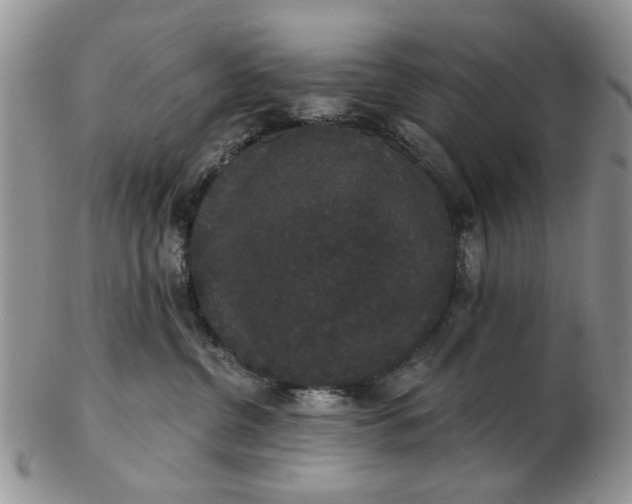 X0000102800380200809021142