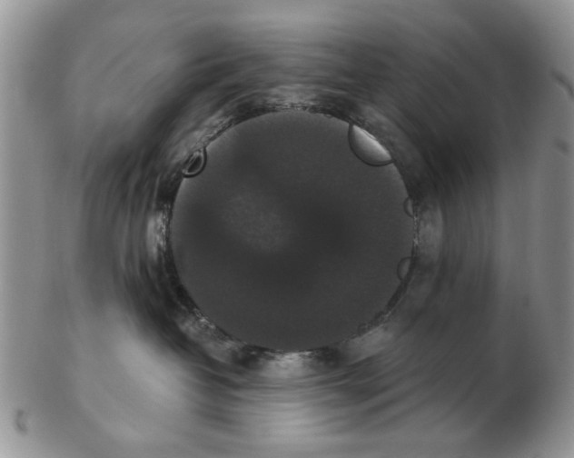 X0000102800382200809021142