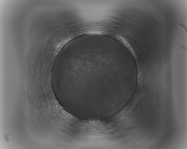 X0000102800385200809021141