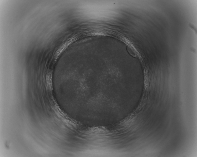 X0000102800386200809021141