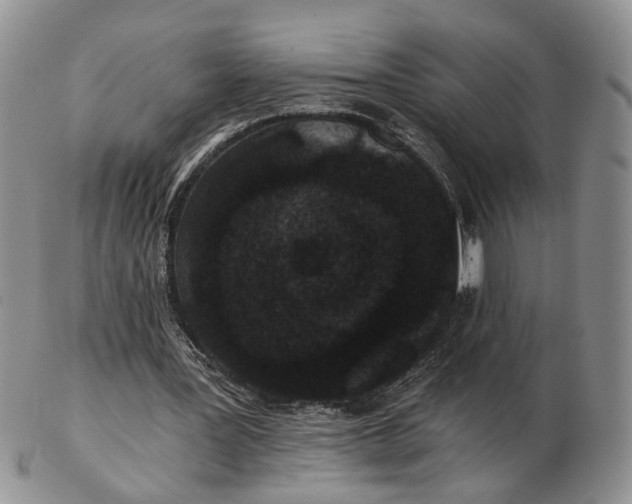 X0000102800387200809021141