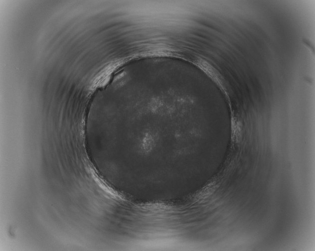 X0000102800389200809021141