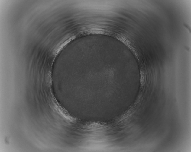 X0000102800390200809021141