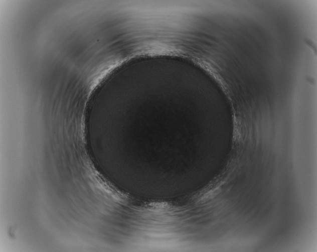 X0000102800391200809021141