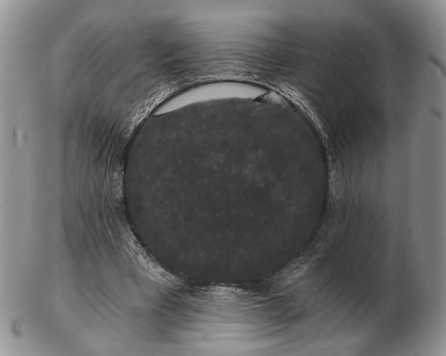 X0000102800393200809021141