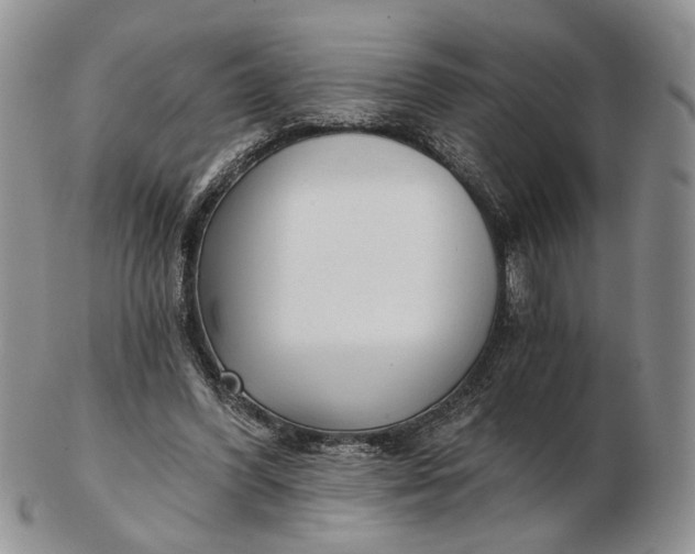 X0000102800396200809021141