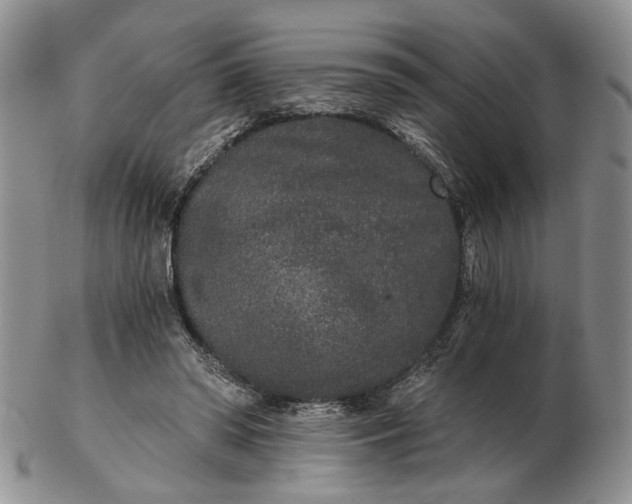 X0000102800398200809021141