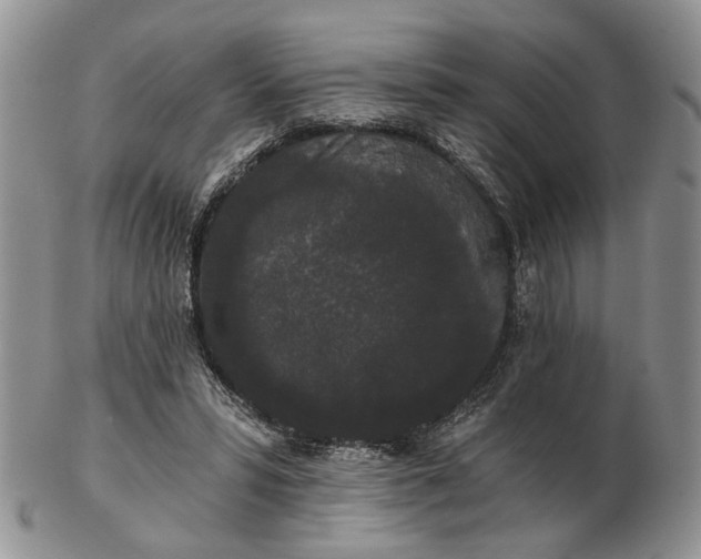 X0000102800399200809021141