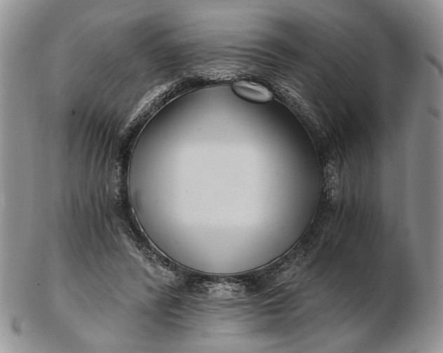 X0000102800400200809021141