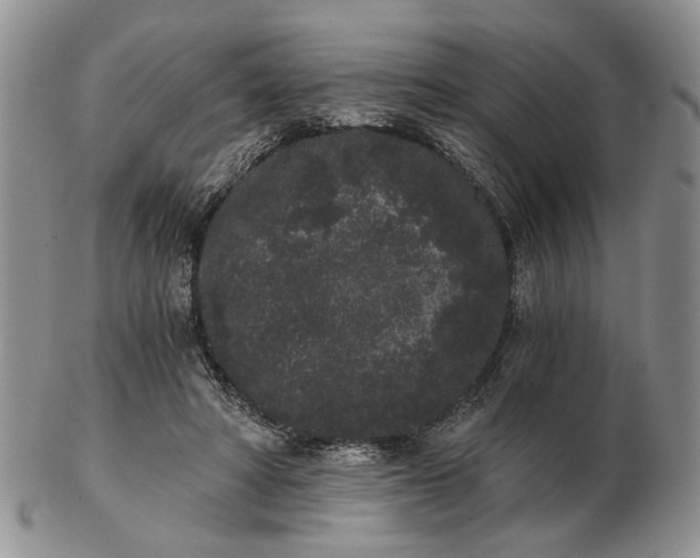 X0000102800402200809021141