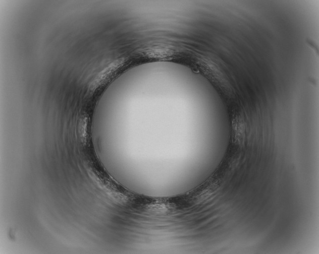 X0000102800404200809021141