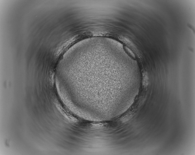 X0000102800405200809021141