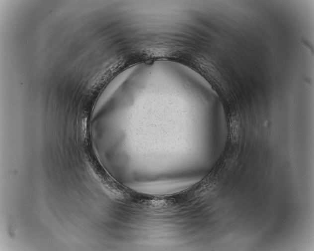 X0000102800406200809021141