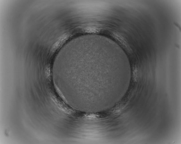 X0000102800407200809021141