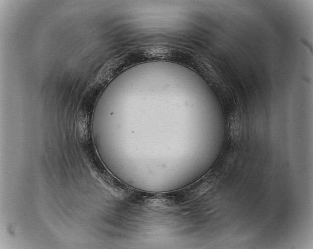 X0000102800408200809021141