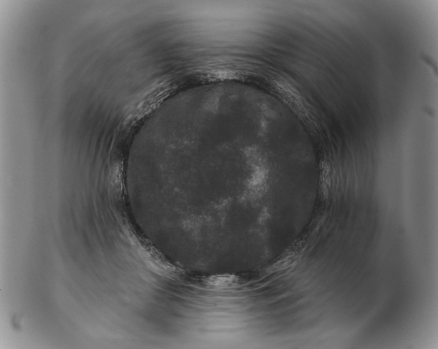 X0000102800410200809021141