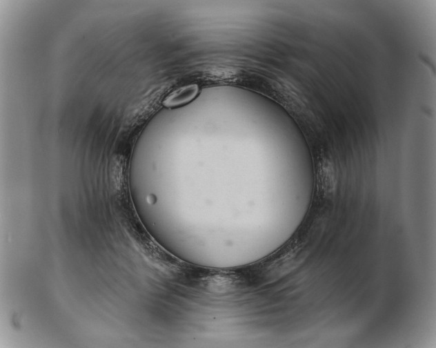 X0000102800412200809021141