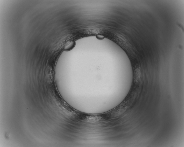 X0000102800414200809021141