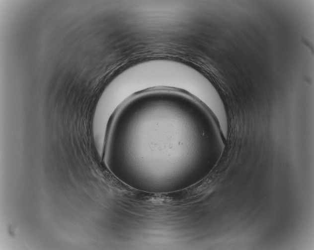 X0000102800415200809021141