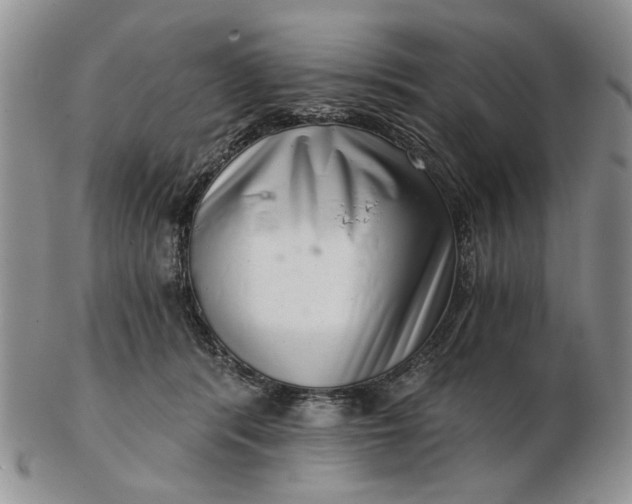 X0000102800416200809021141