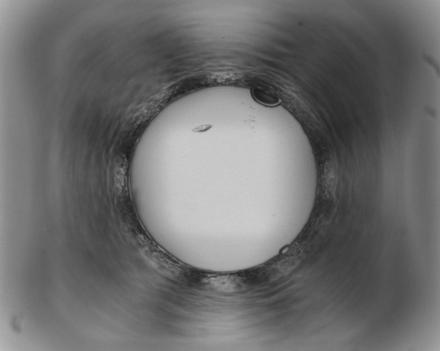 X0000102800417200809021141