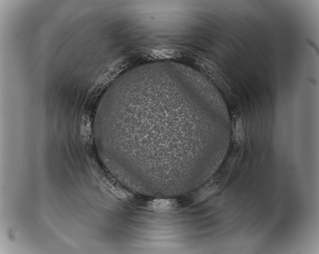 X0000102800418200809021141