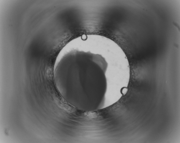 X0000102800419200809021141