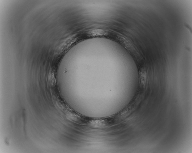 X0000102800422200809021141