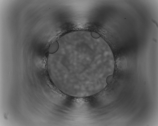 X0000102800423200809021141