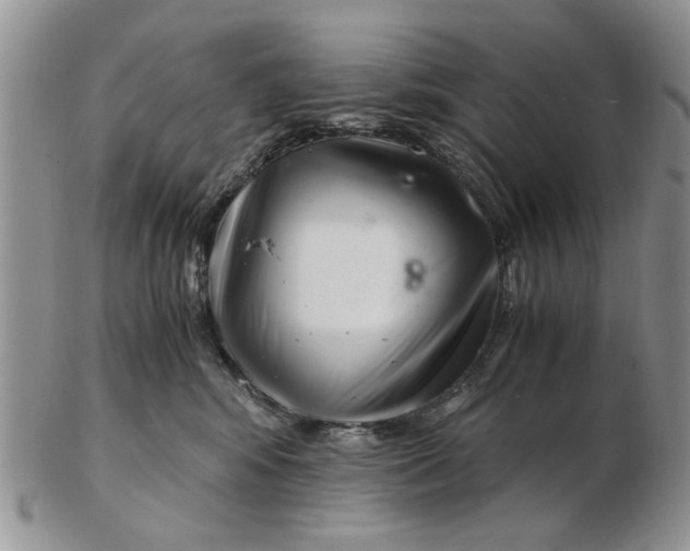 X0000102800424200809021141