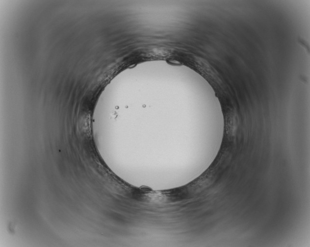 X0000102800425200809021141