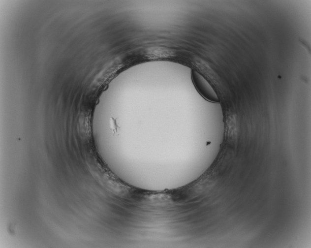 X0000102800426200809021141