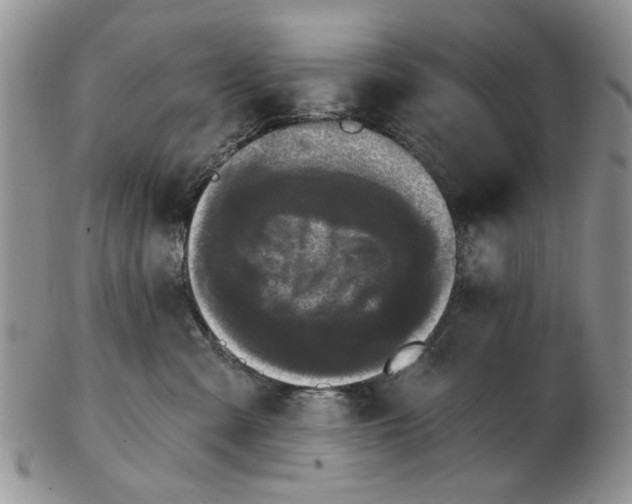 X0000102800427200809021141