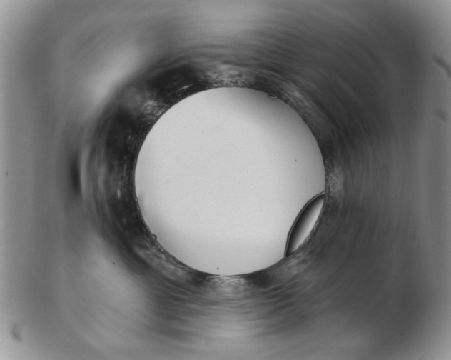 X0000102800429200809021141