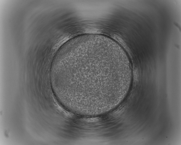 X0000102800433200809021140