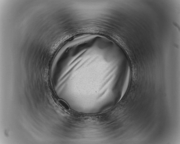 X0000102800434200809021140