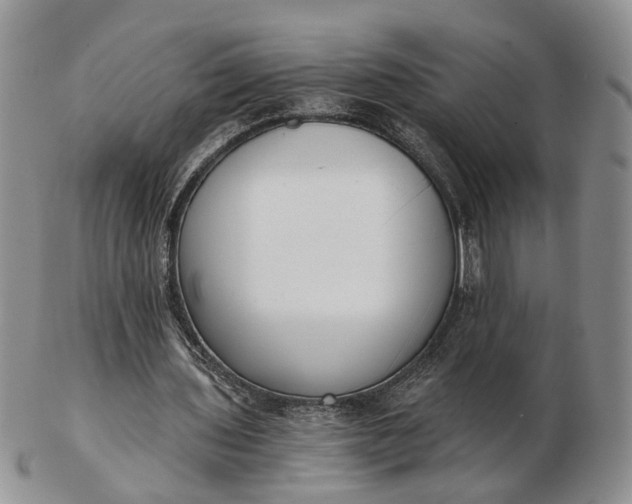 X0000102800435200809021140