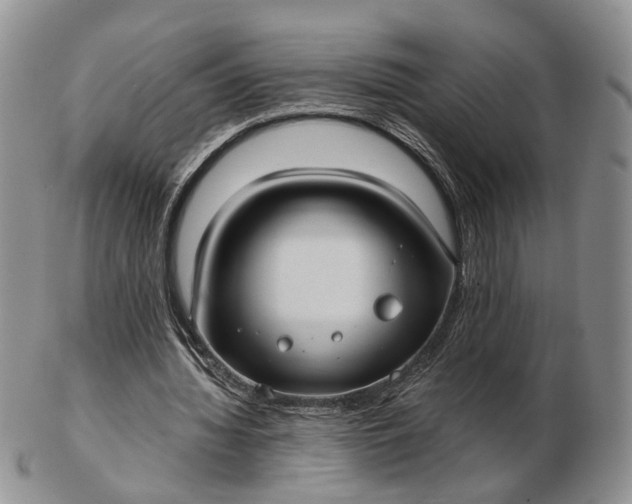 X0000102800436200809021140