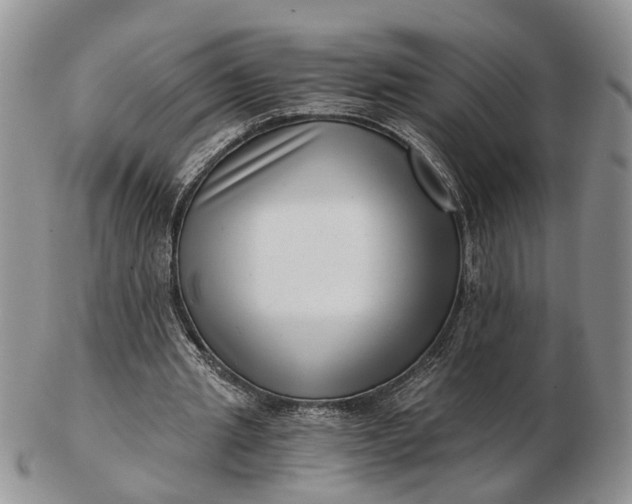 X0000102800437200809021140