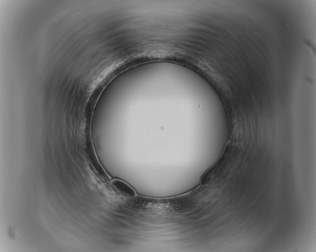 X0000102800440200809021140