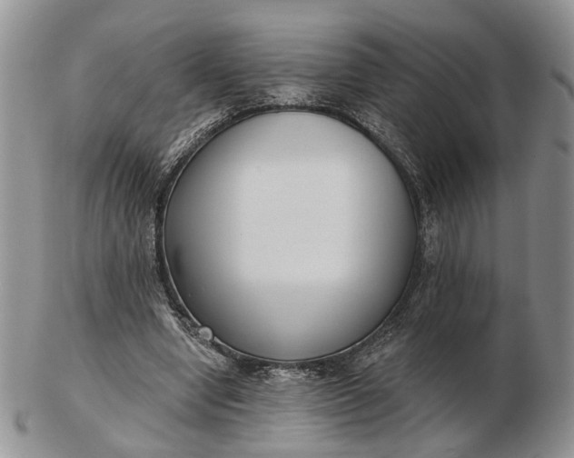 X0000102800442200809021140