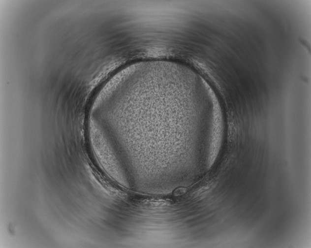 X0000102800443200809021140